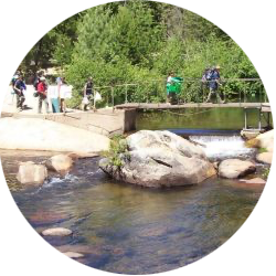 FVC_Wolfeboro_Circle